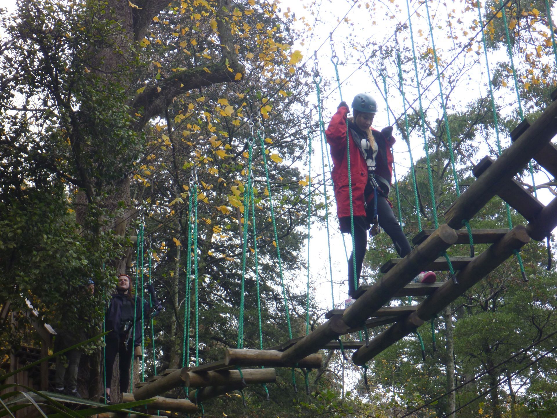 1000 Steps and Tree Tops Adventure Lilydale Heights College
